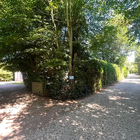 Gezellige Op Steenworp Afstand Het * 奥德多普